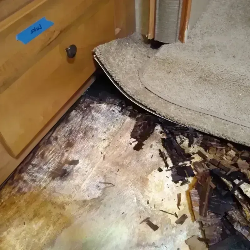 Wood Floor Water Damage in Largo, MD